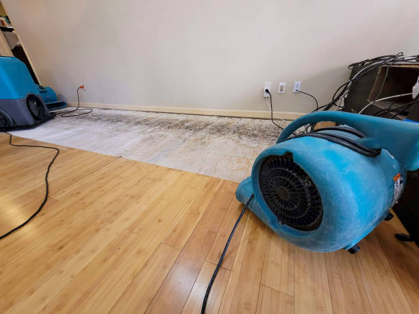 Professional Structural Drying technician working in Willow River, MN